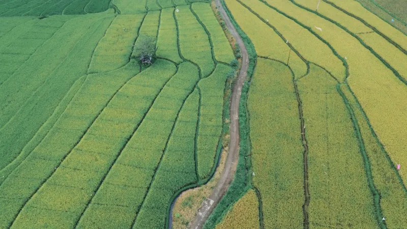 The Conversion Arbitrage: A US Investor's Guide to Agricultural Land Transitions in India's Fastest-Urbanizing States