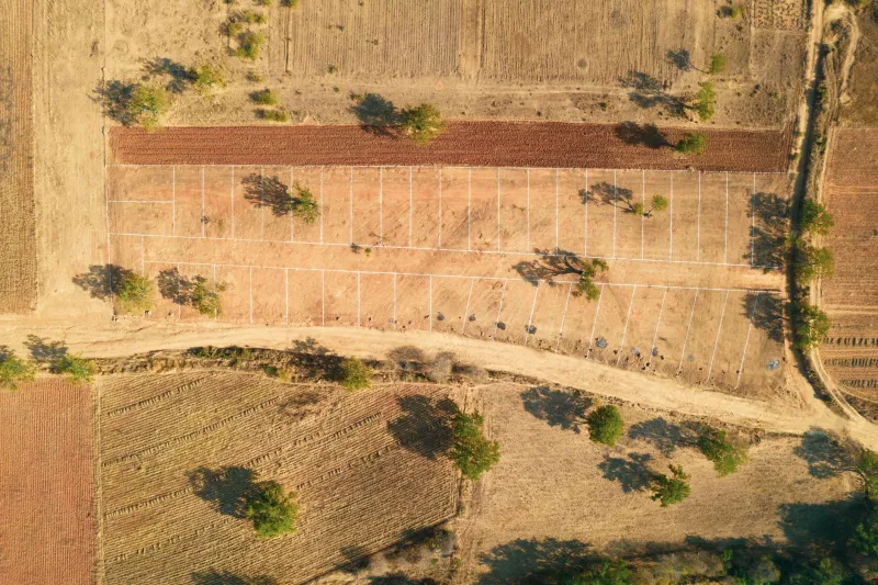 From the Options Desk to Open Acres: Why Long-Term Land Investment in India Outpaces Short-Term Trading